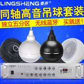 DS吊球音响套装 商场超市背景音乐系统喇叭店铺公共广播音箱 菱声