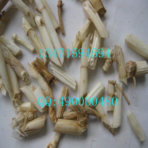 天然野生白茅根/地管/茹根/蓝根/丝茅草/茅草/白茅草/茅草根500g