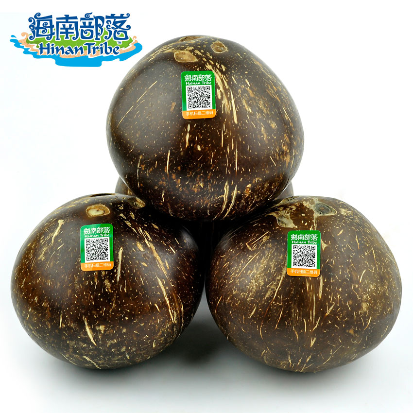 海南部落 皮毛椰子 老椰子 水果三亚新鲜