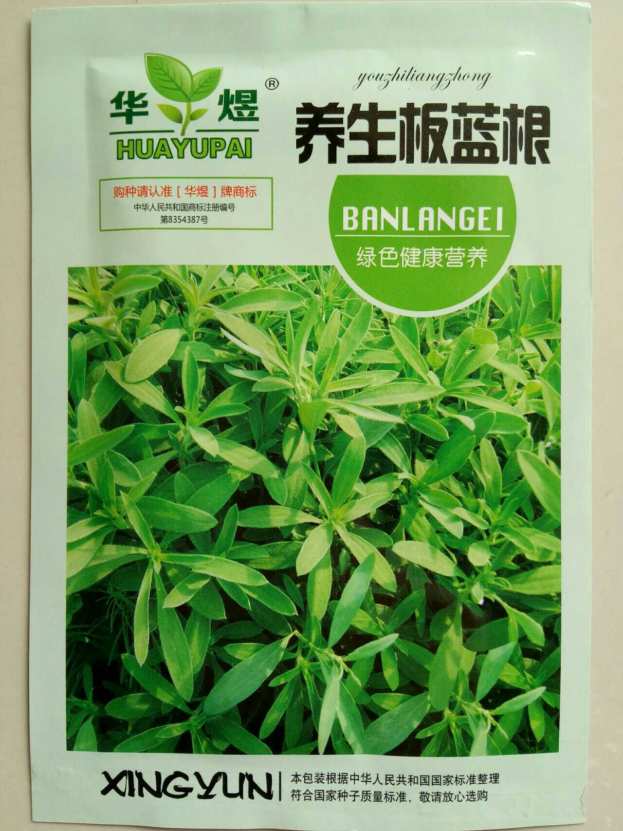 板蓝根种子