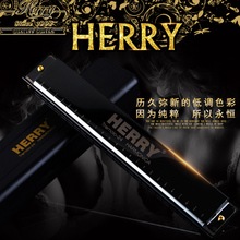 成人专业入门级 24孔复音学生自学初学者口琴 HERRY高级中学教具