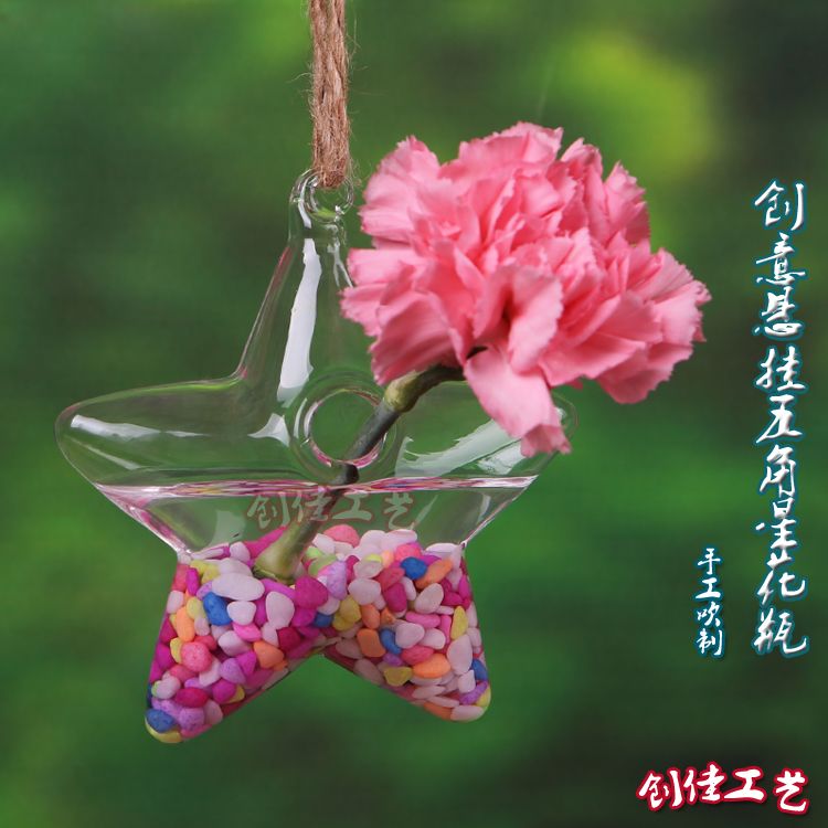 正品[悬挂花瓶]自制悬挂花瓶评测 悬挂式透明玻