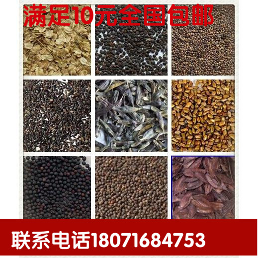 包发芽药材种子板蓝根白芷种子丹参桔梗柴胡党参防风名贵药材种子
