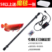 夏臣鱼缸灯LED潜水灯照明防水灯led水族箱灯七彩遥控灯水晶龙鱼灯