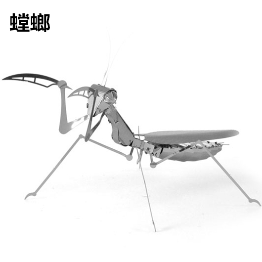 正品[拼全面魔方教学视频]魔方拼六面教学视频