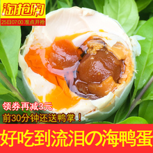 广西北部湾北海钦州特产 红树林野生农家咸鸭蛋20枚 正宗烤海鸭蛋