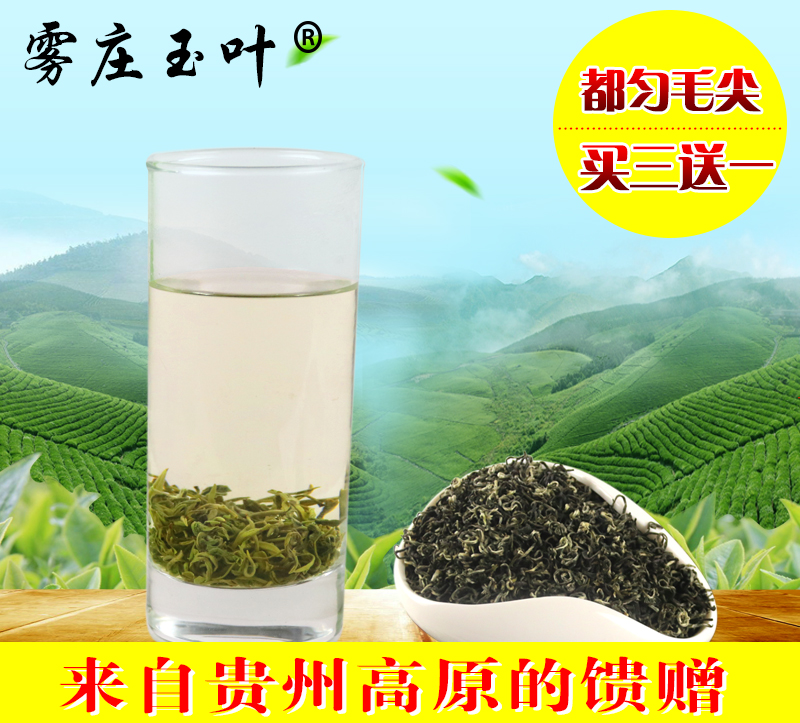 都匀毛尖茶叶2016新茶贵州高山云雾浓香炒青明前特级农家手工绿茶