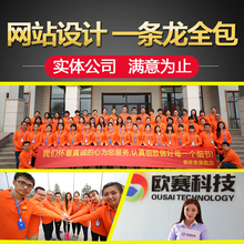 公司企业做网站建设网页设计建站制作手机微信仿站商城一条龙全包