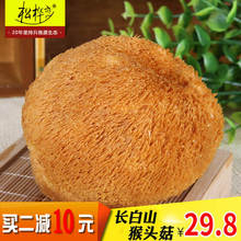 250克 东北特产野生猴头菌山猴头干货猴头 长白山猴头菇 猴头菇