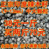 包邮 精选食用辣木子天然野生滋补品500克 正宗印度进口辣木籽