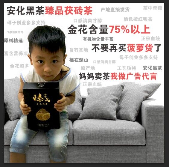 安化黑茶 黑茶 黑茶湖南安化 金花茯砖茶 手筑茯茶960克特级安华