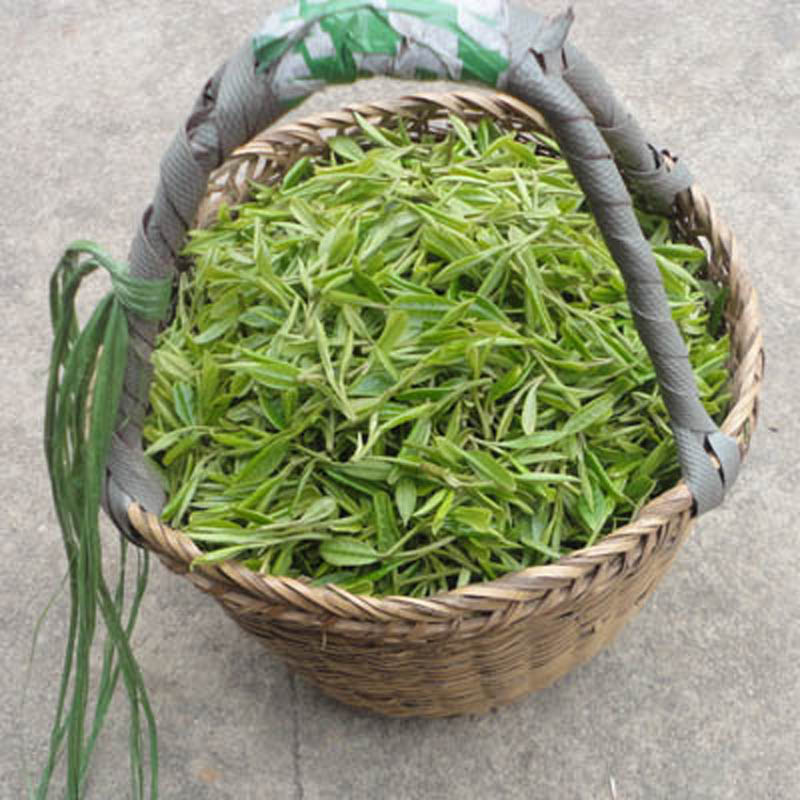 正宗浙江杭州西湖龙井茶叶2016新茶绿茶雨前龙井茶农直销特价