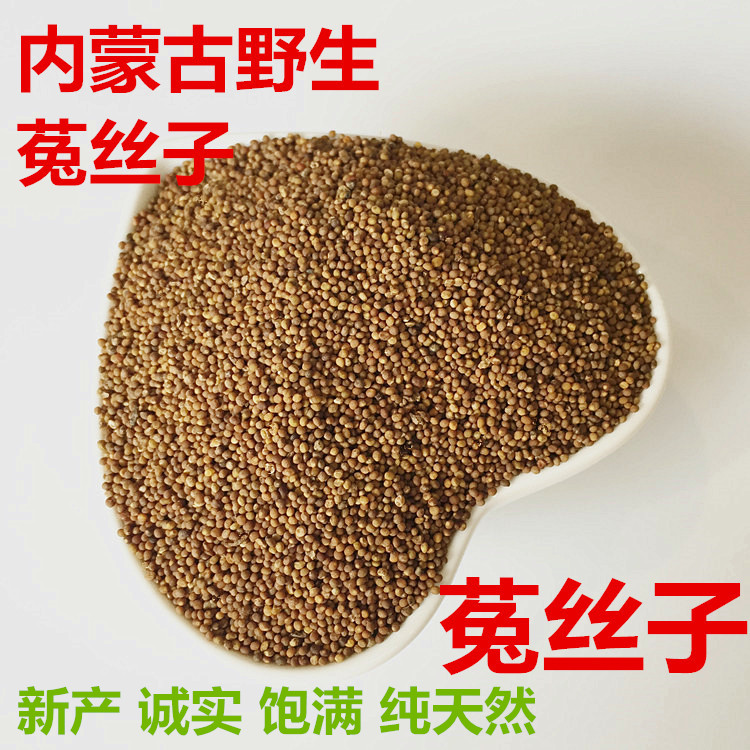 精选小菟丝子 新产内蒙古菟丝子草原纯野生兔丝子茶买二送一 包邮