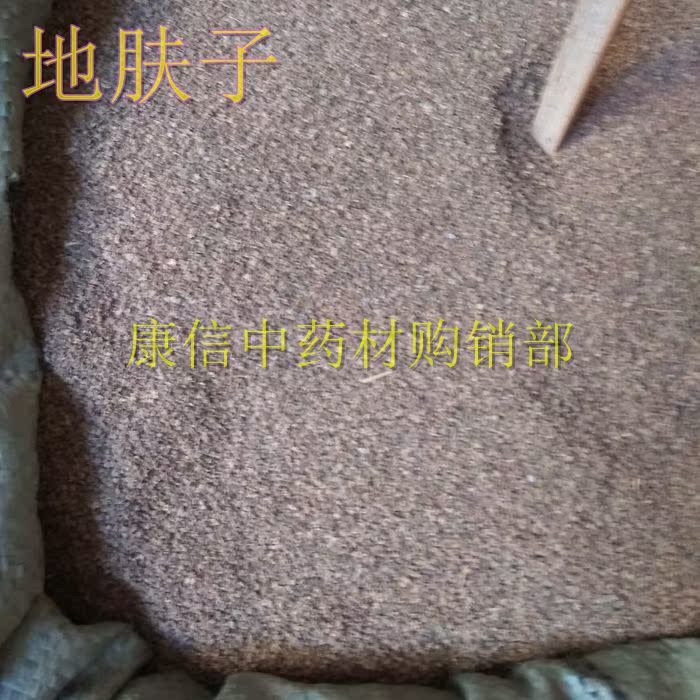 地肤子 中药材 扫帚子 扫帚菜子 地葵 落帚子 竹帚子 铁扫把子