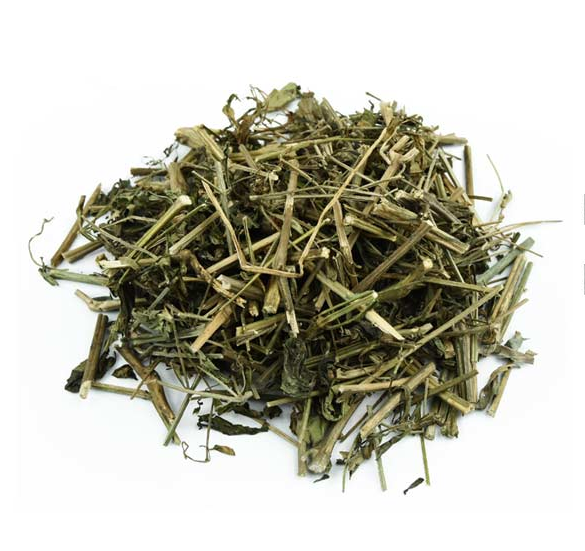 穿心莲 榄核莲一见喜斩舌剑苦草苦胆草四方草 中药材