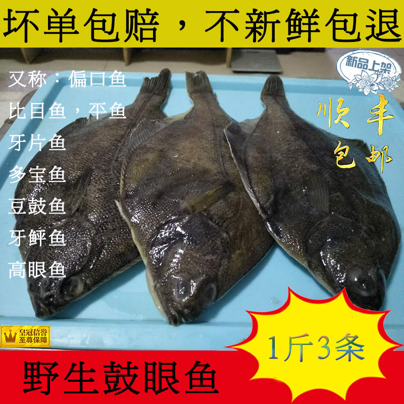 青岛鲜活海鲜 新鲜鼓眼鱼 高眼鱼 蝶鱼 偏口鱼 豆鼓鱼 比目鱼500g