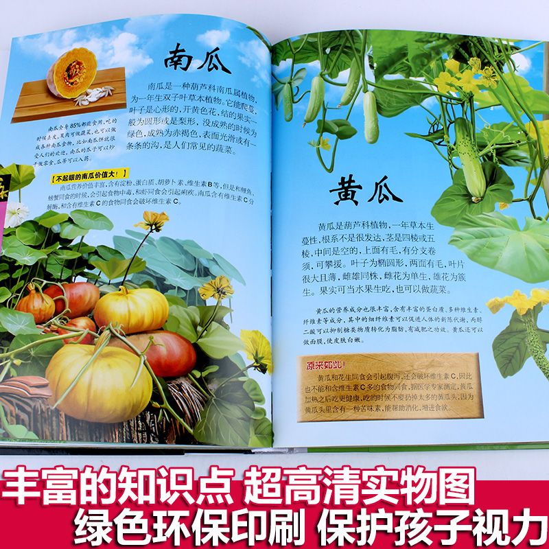 植物王国手抄报怎么写