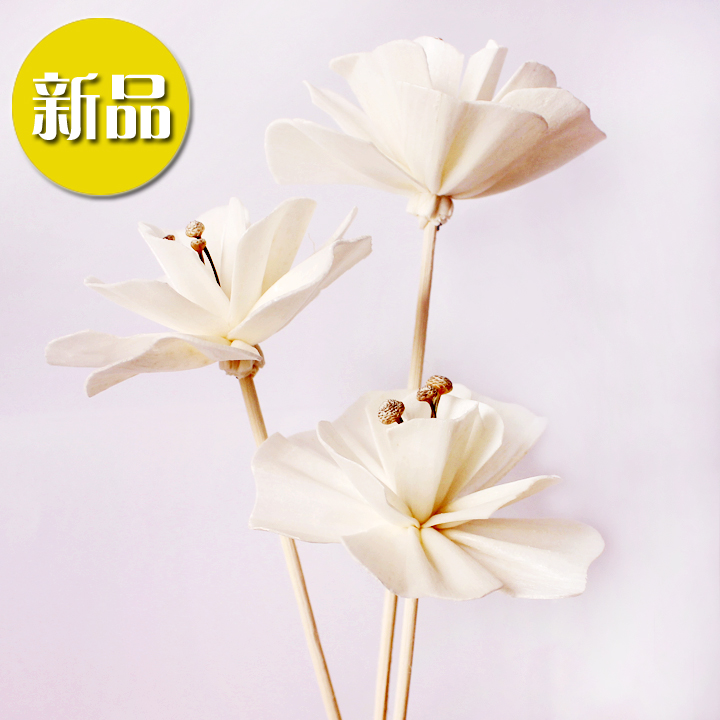新品热卖派菲无火香熏配件藤条熏香干花样板房摆设芍药花通草花