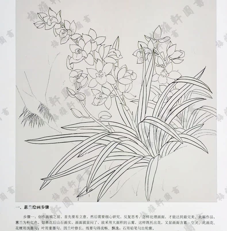  滭 ϣ ʻ鼮