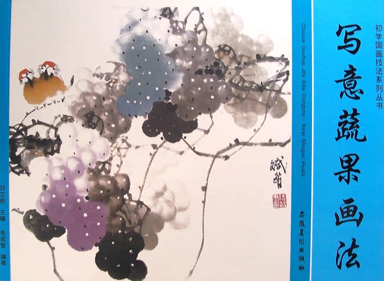 动物 翎毛 人物 山水 蔬果学生成人水墨中国画教程水墨画国画写意书