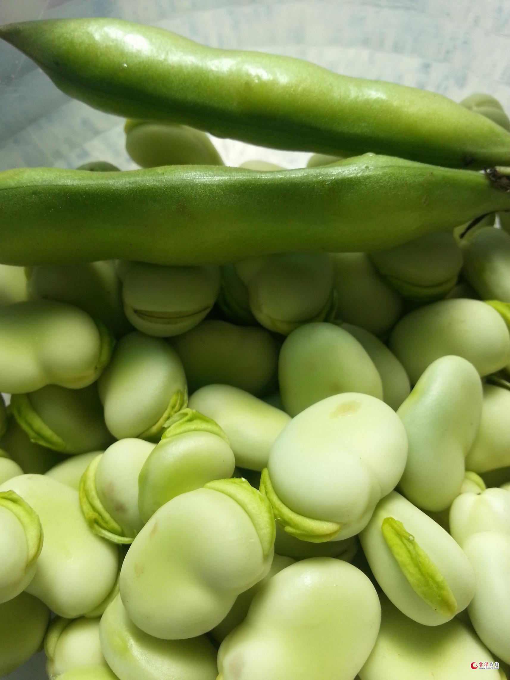 新鲜蚕豆米 300g新鲜蚕豆米 剥皮蚕豆米 新鲜蔬菜 武汉满百包邮