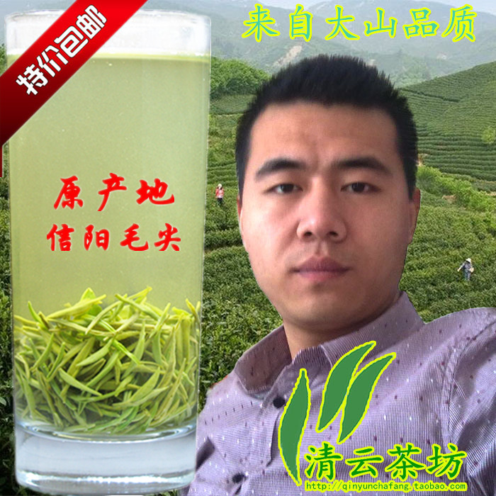 信阳毛尖 2015新茶叶 绿茶 高山茶雨前特级嫩芽 茶农直销250g包邮