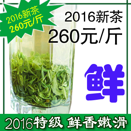 日照绿茶 2016年新茶，春茶，新茶明前自产自销，尝鲜促销中 50g