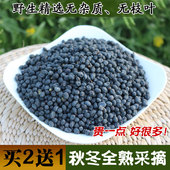 包邮 冬青子泡酒500克 野生女贞子 女贞子中药材 女贞子茶 新货正品