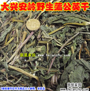 【鼠鼠家园】大兴安岭14年野生蒲公英干 纯天然腹泻去火草药 50克