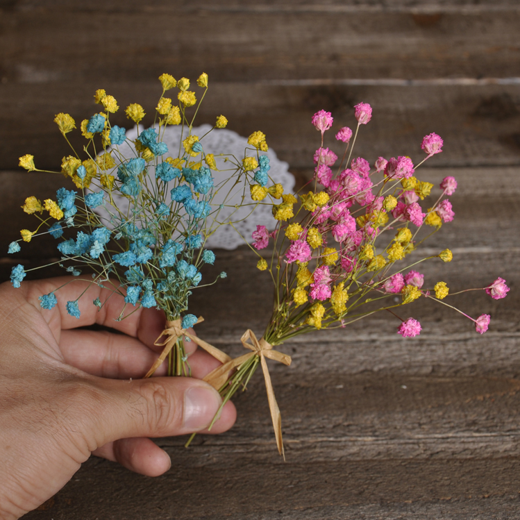 棉花花束干花满天星礼盒蓝色生日彩色尤加利永生花勿忘我迷你新品