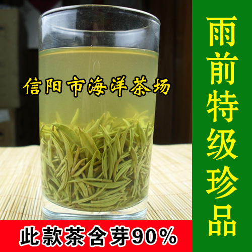 信阳毛尖2016年新茶 绿茶 雨前特级珍品 250g 自产自销 春茶 现货