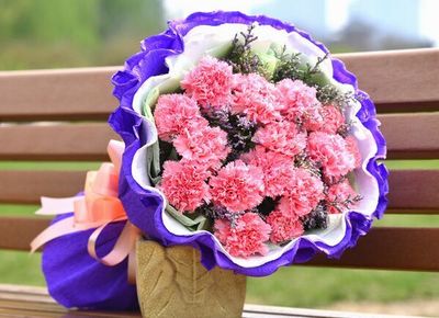 19朵粉红色康乃馨送妈妈长辈生日教师节礼物泰安市鲜花店同城速递