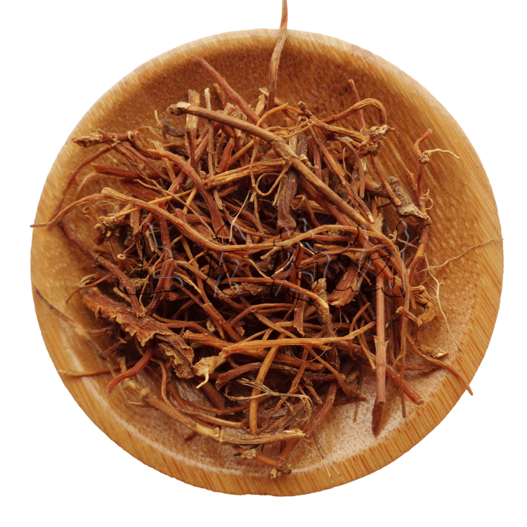 中药材龙胆草 草龙胆  苦龙胆草 地胆草野生500克