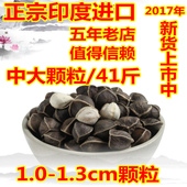 包邮 辣木籽印度进口正宗野生特级辣木子种子食用纯天然500克