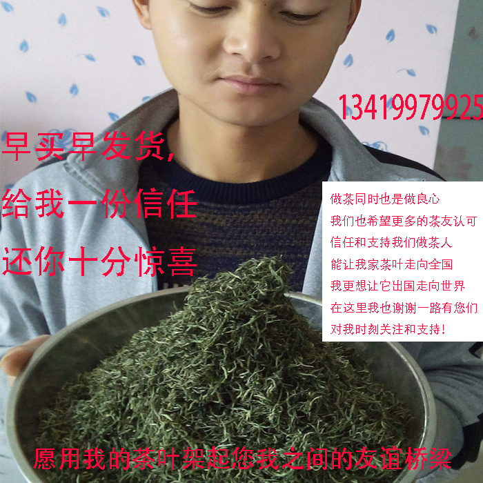 信阳毛尖2016新茶雨前特级自产自销250g散装高山有机礼盒春尖绿茶