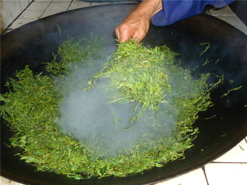 包邮深山农家手工自采自制普通茶叶清明茶绿叶茶天然健康足重1斤