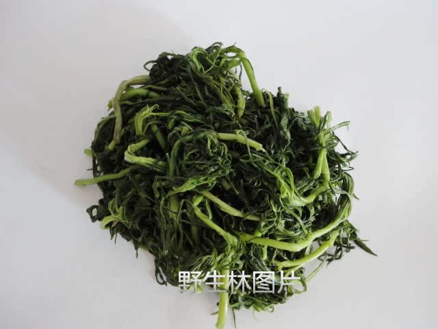 【山野菜】保鲜袋的柳篙芽纯野生柳蒿菜萎蒿水蒿白蒿柳篙二袋