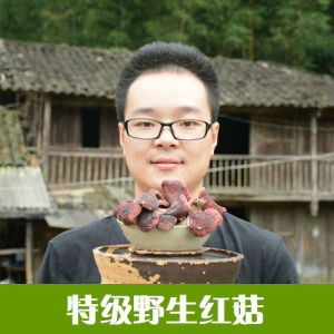 【野生红菇图片】野生红菇图片大全