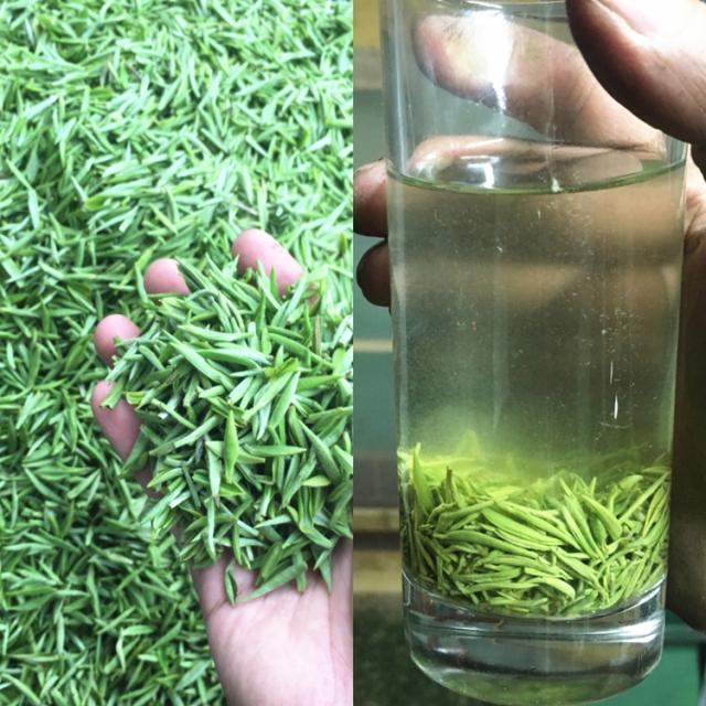 信阳毛尖 2016新茶叶 雨前特级嫩芽绿茶优质春茶芽尖250g特价包邮