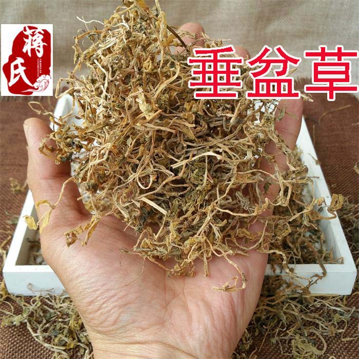 中药材 垂盆草500克 别名石指甲 养鸡草 狗牙齿 瓜子草 包邮