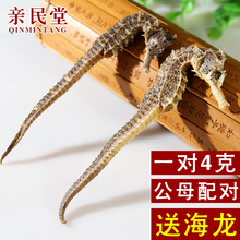 包邮 海马干中药材泡酒料海马干货一对4g三斑海马滋补品两对送海龙