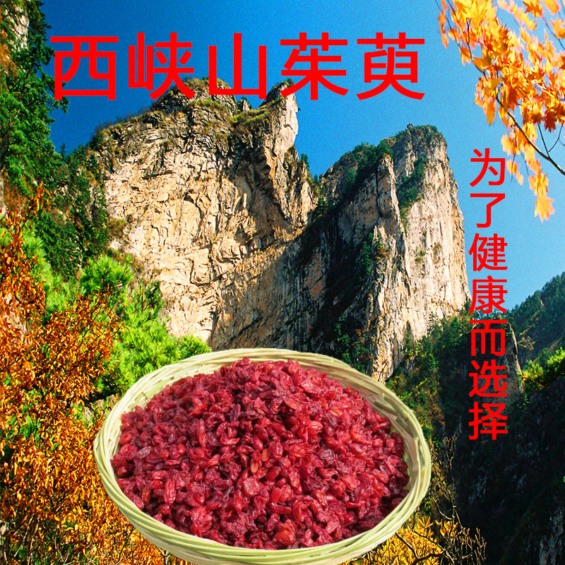 老界岭深山纯天然无公害去核山茱萸500g包邮正品野生山茱萸肉