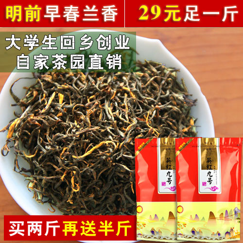 明前茶叶 英德红茶 英红九号 兰香9号红茶 足一斤 买两斤送半斤
