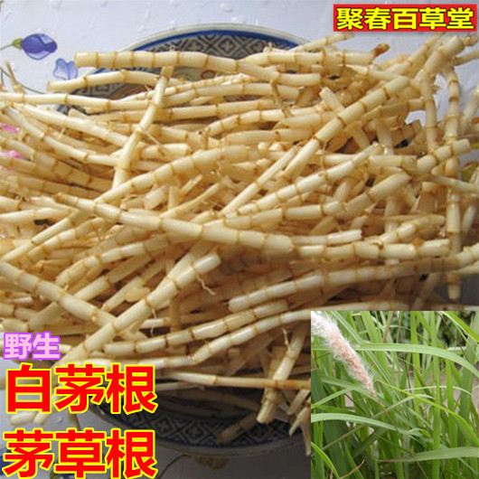 新鲜草药野生现采白茅根 竹蔗 茅草根 茅草根500克顺丰航空