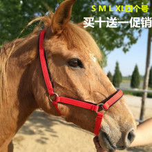 大马小马笼头 马术用品线板调教龙头 马鞍子马具马鞍配件马龙头