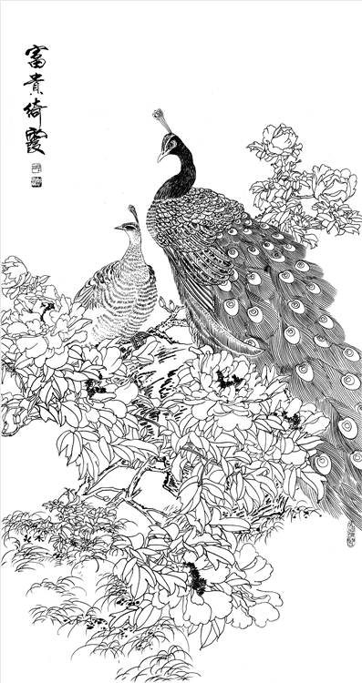 tp12高清工笔画白描打印稿四尺孔雀白描底稿国画花鸟画临摹练习稿