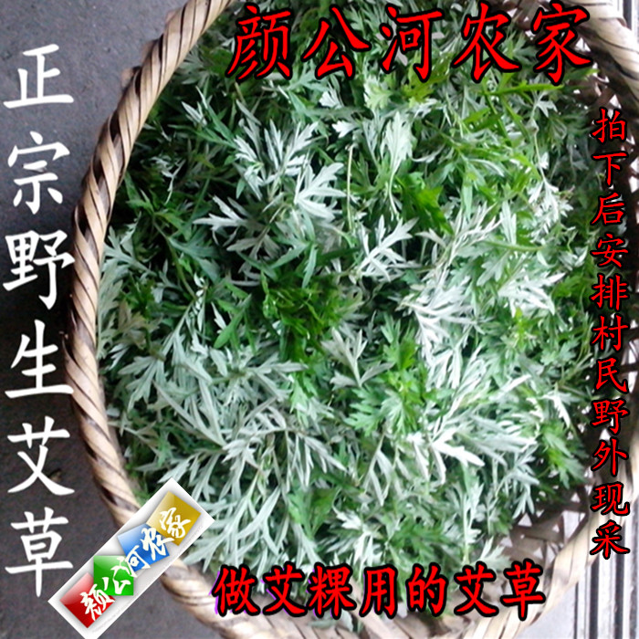 包邮黄山食用野生天然新鲜嫩艾草艾叶青团艾蒿糍粑粑清明果艾粄粉