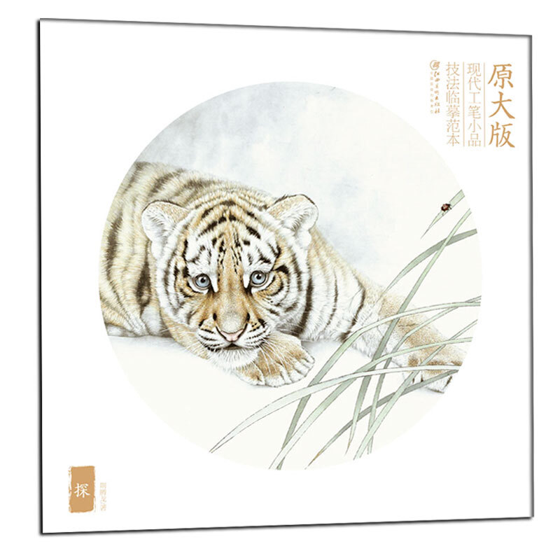 最新腾龙sp17 50mm 50mm等于多少厘米