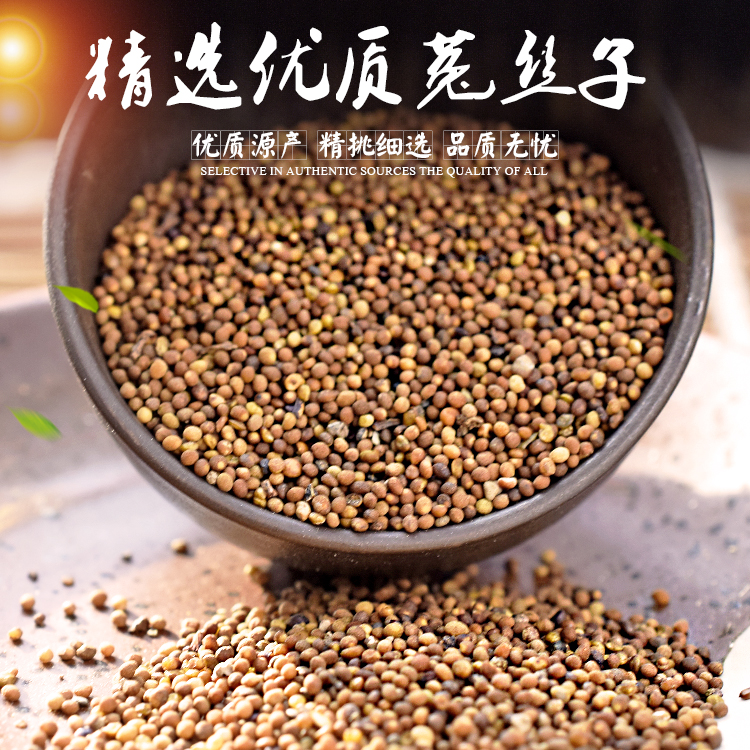 内蒙古野生菟丝子兔丝子 特级大菟丝子菟丝子茶新货500克包邮