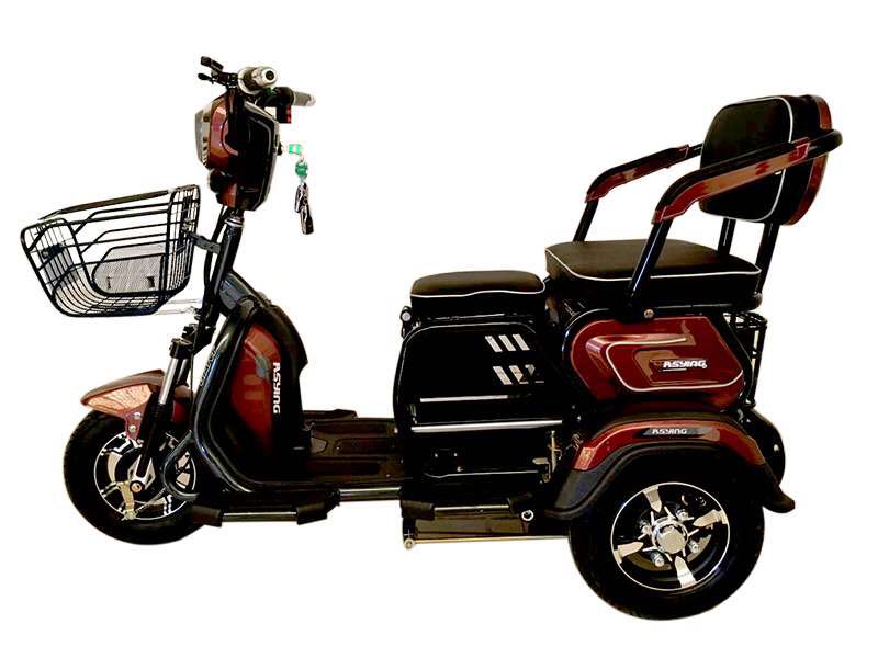 电动三轮车成人家用新款小型双人残疾单人老人老年接送孩子电瓶车